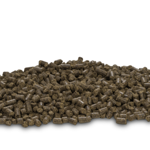 DARF VOL kuivtoit kutsikale 4 & 14 kg