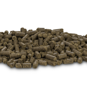 DARF VOL kuivtoit lambalihaga 4 & 14 kg