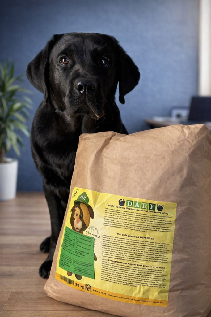 Labrador Mona ja Darf koeratoit