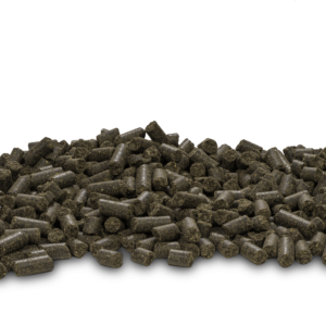 DARF VOL kuivtoit aktiivsele koerale veisega 4 & 14 kg