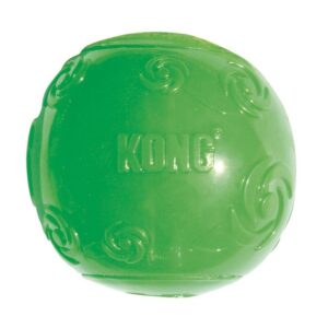 KONG Squeezz