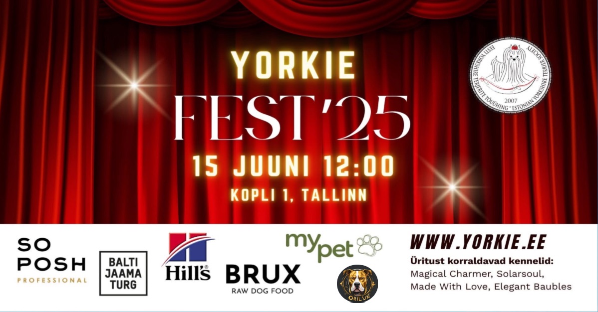 Yorkie fest 2025