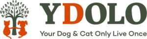 YDOLO