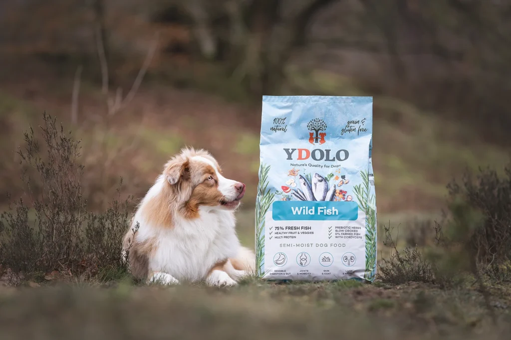 Ydolo kalaga