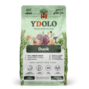 YDOLO part