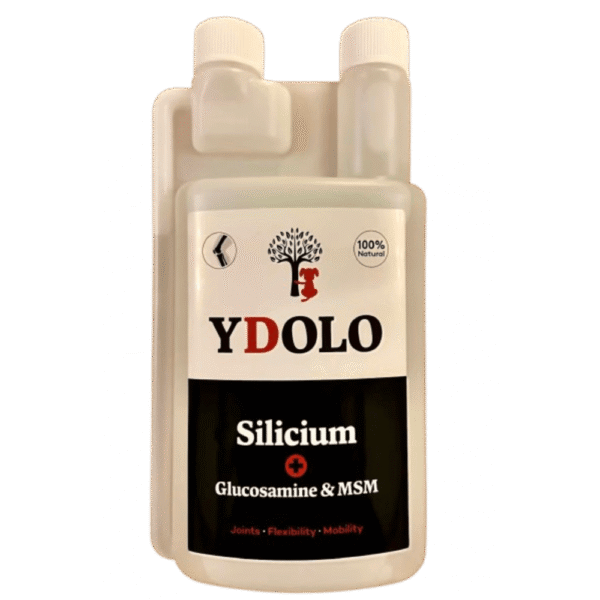 YDOLO Glükoosamiin koera liigeste toetamiseks