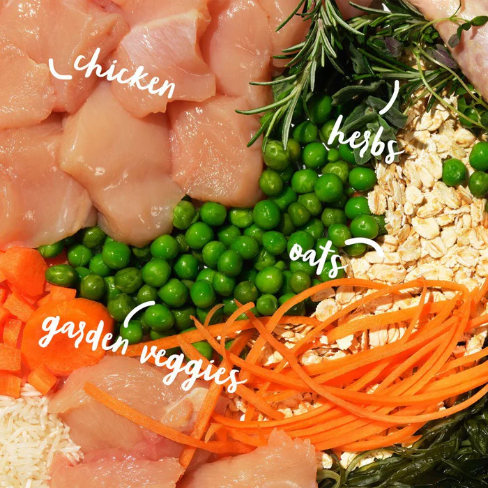 Barking Heads koeratoit light kanaga sisu