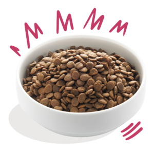 Edgard Cooper koeratoit vabapidamise pardi ja hirvega 2.5 kg