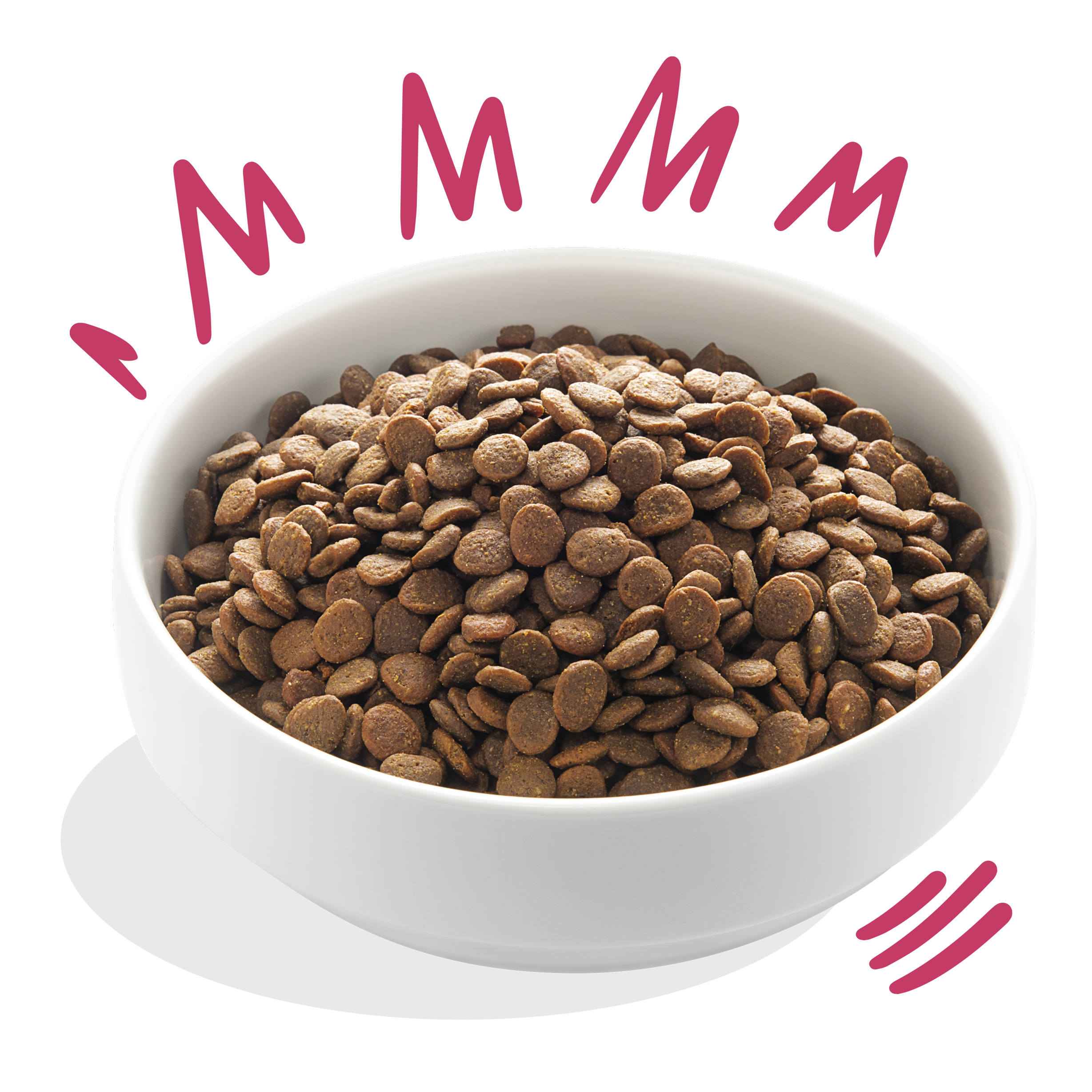 Edgard Cooper koeratoit vabapidamise pardi ja hirvega