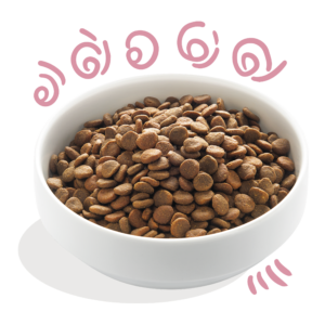 Edgard Cooper kutsikatoit vabapidamise kana ja pardiga 2.5 kg & 7 kg