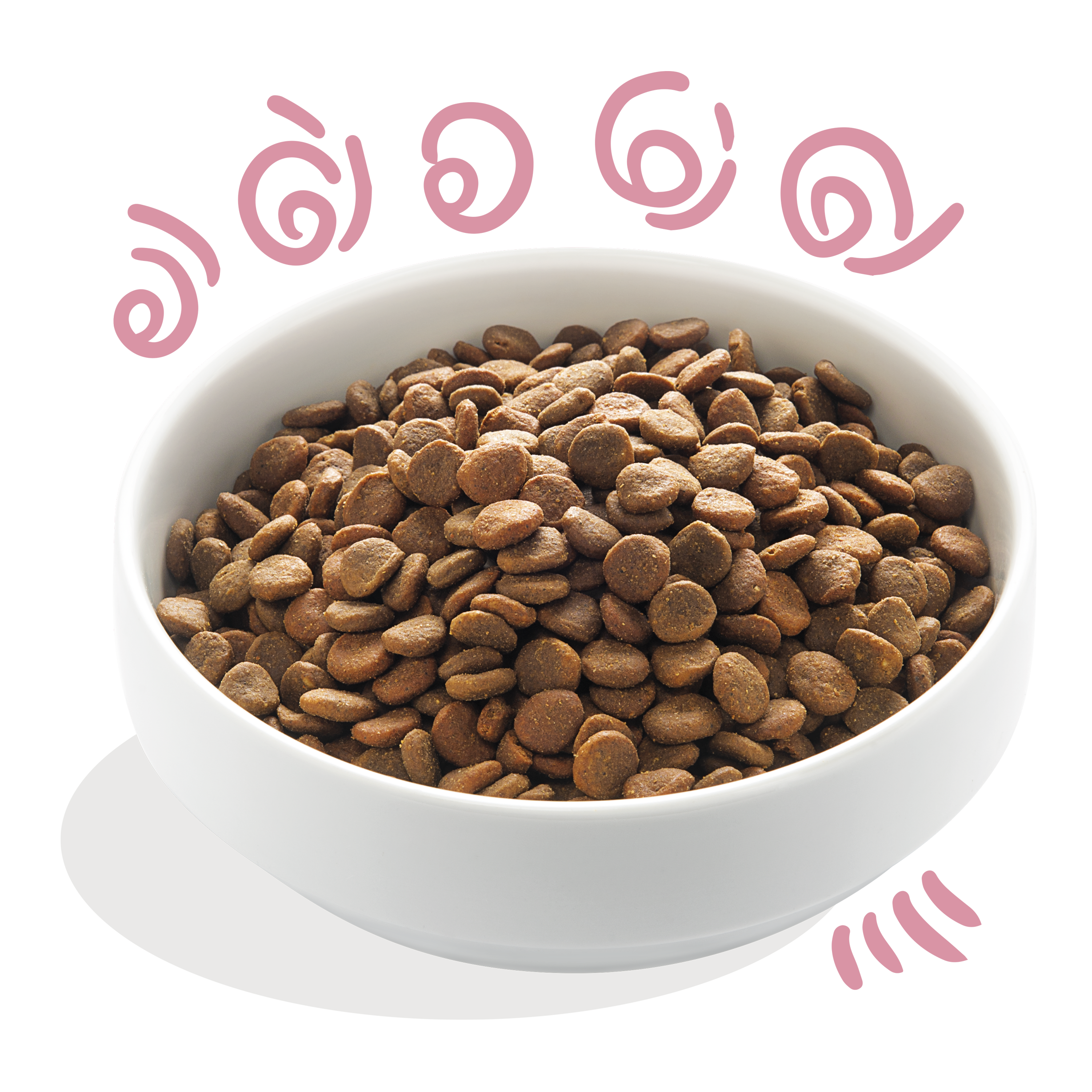 Edgard Cooper kutsika kuivtoit värske vabapidamise pardi ja kanaga krõbinad