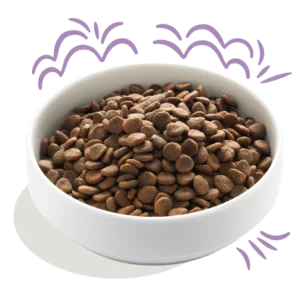 Edgard Cooper kutsikatoit vabapidamise kalkuni ja lõhega 700 g & 2.5 kg