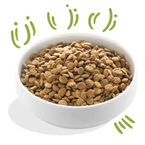 Edgard Cooper koeratoit rohumaa lambaga 2.5 kg, 7 kg & 12 kg