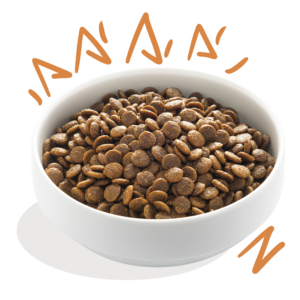 Edgard Cooper koeratoit vabapidamise kanaga 2.5 kg & 7 kg