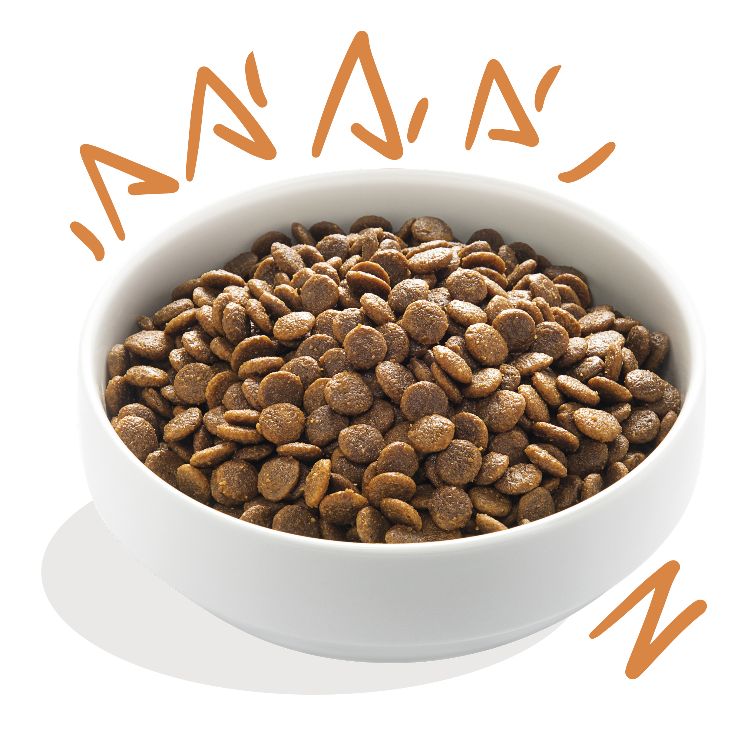 Edgard Cooper vabapidamise kana kuivtoit krõbinad