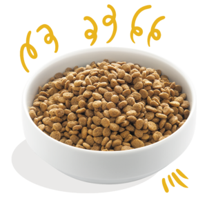 Edgard Cooper koeratoit vabapidamise kana ja kalkuniga 2.5 kg & 7 kg