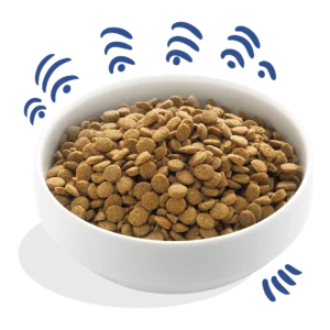 Edgard Cooper koeratoit Norra lõhega 2.5 kg, 7 kg & 12 kg