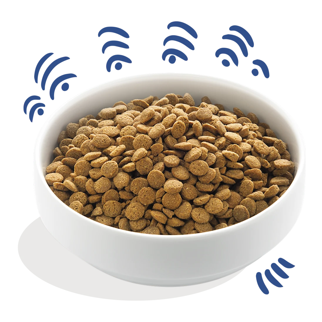 Edgard Cooper värske Norra lõhe krõbinad