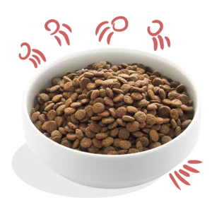 Edgard Cooper koeratoit seeniorile vabapidamise kana ja Norra lõhega 2.5 kg & 7 kg