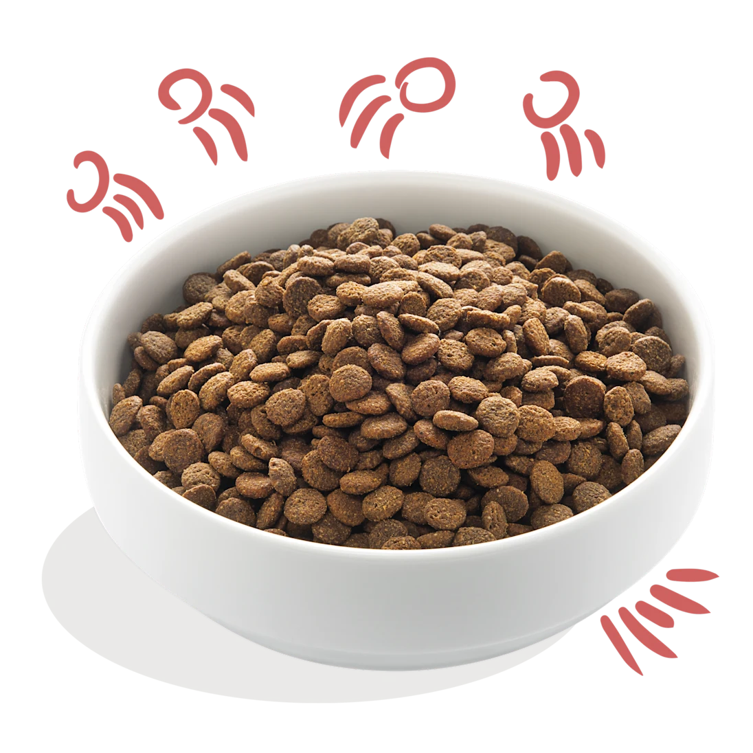 Edgard Cooper värske vabapidamise kana ja Norra lõhe kuivtoit seeniorile krõbinad