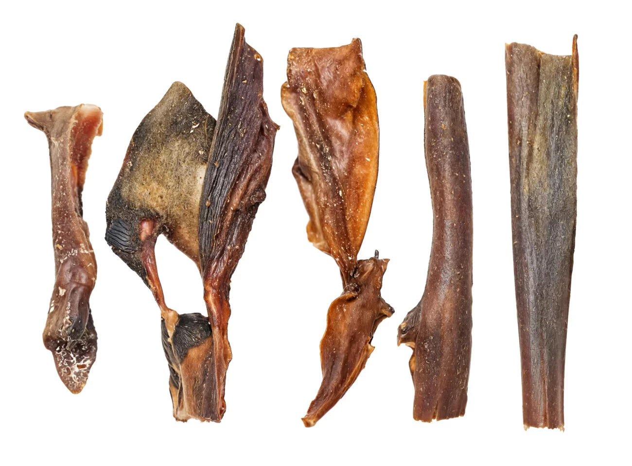 Kaameli nahk 40 cm kuivatatud