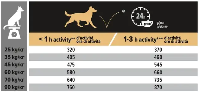 Pro Plan Large Robust Adult Sensitive Digestion koeratoit lambaga toitumisjuhend