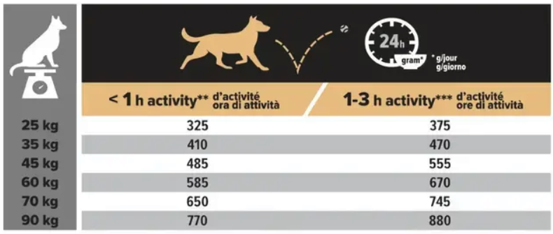 Pro Plan Large Robust koeratoit kanaga toitumisjuhend
