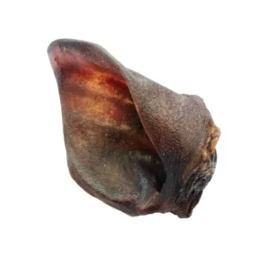 Metssea kõrv kuivatatud 15 tki